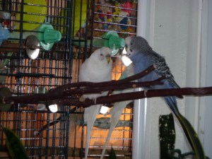 angel-2-sir-winston-churchill The Byrds: Angel2 and Sir Winston Churchill