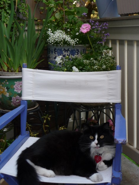 Bitzie Secret Garden Bitzie's Secret Garden