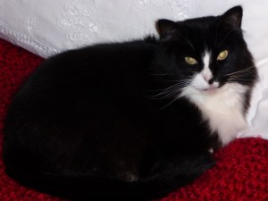 holidays2008-9-057 holidays2008-9-057