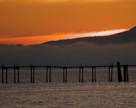 Bellingham Winter Sunset ©2009 Carole May