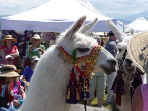 Lavender Festival 2009 Olympic Llama