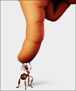 Squash her like a bug