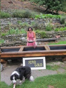 Sarah-Kate Lynch in her Oscar gown panning for gold