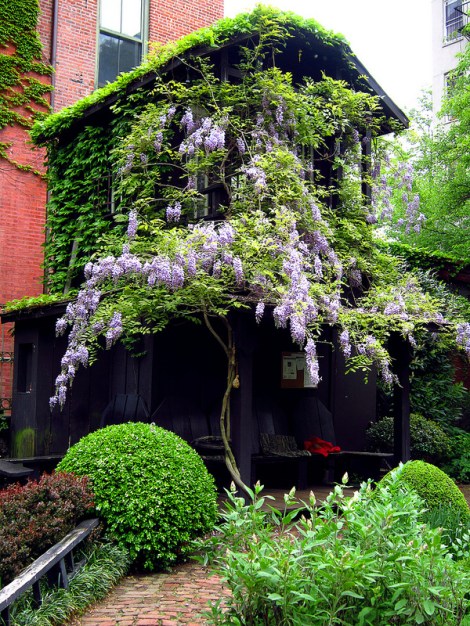 Green Oasis Garden, East Village, NYC