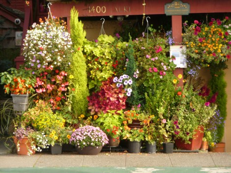 FlowerHouse WestSeattle