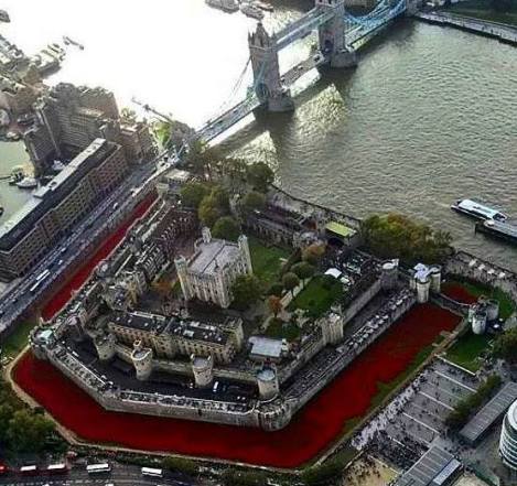 Aerial view of Blood Swept Lands and Sea