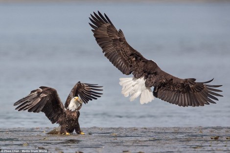 Photo Credit: Phoo Chan