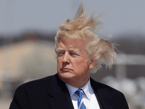 Trump Hair